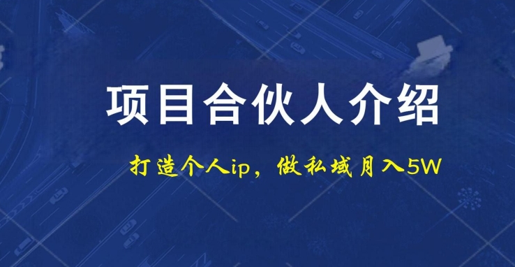 项目合伙人项目，打造个人IP，做私域月入5W，小白勿扰-观智斋电商课程站