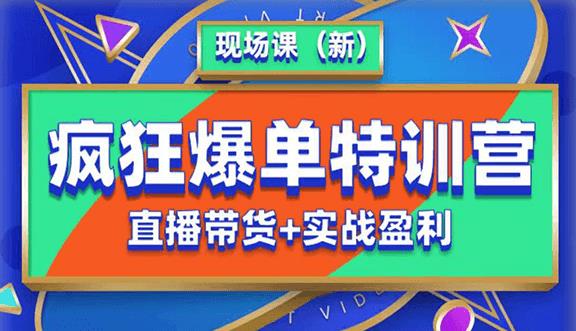 抖音短视频疯狂爆单特训营现场课（新）直播带货+实战案例-观智斋电商课程站