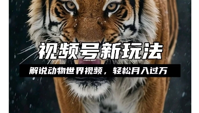 利用动物世界解说视频，赚分成计划收益，轻松月入过W，操作简单【揭秘】-观智斋电商课程站