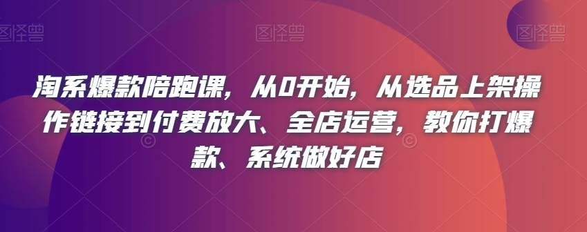 淘系爆款陪跑课，从0开始，从选品上架操作链接到付费放大、全店运营，教你打爆款、系统做好店-观智斋电商课程站