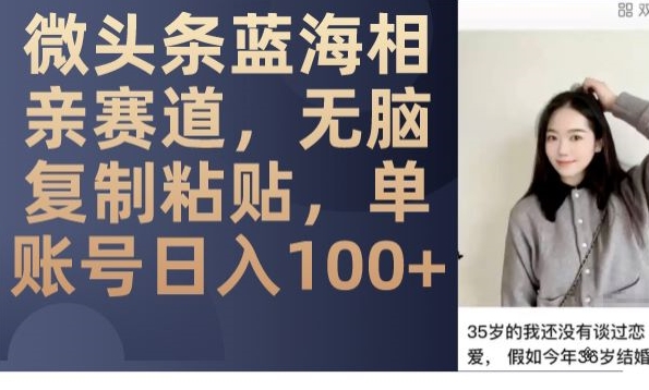 微头条蓝海相亲赛道，无脑复制粘贴，单账号日入100+-观智斋电商课程站