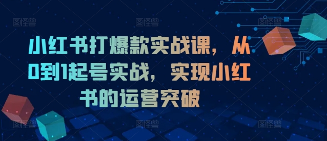 小红书打爆款实战课，从0到1起号实战，实现小红书的运营突破-观智斋电商课程站