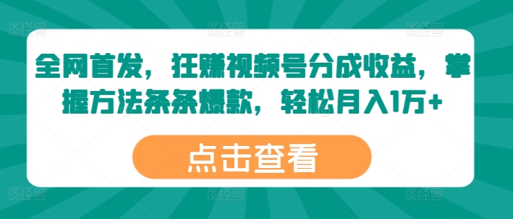 全网首发，狂赚视频号分成收益，掌握方法条条爆款，轻松月入1万+-观智斋电商课程站