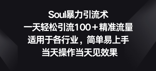 Soul暴力引流术，一天轻松引流100＋精准流量，适用于各行业，简单易上手-观智斋电商课程站