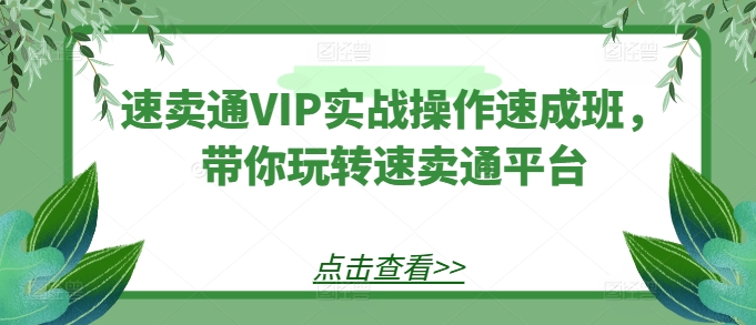 速卖通VIP实战操作速成班，带你玩转速卖通平台-观智斋电商课程站