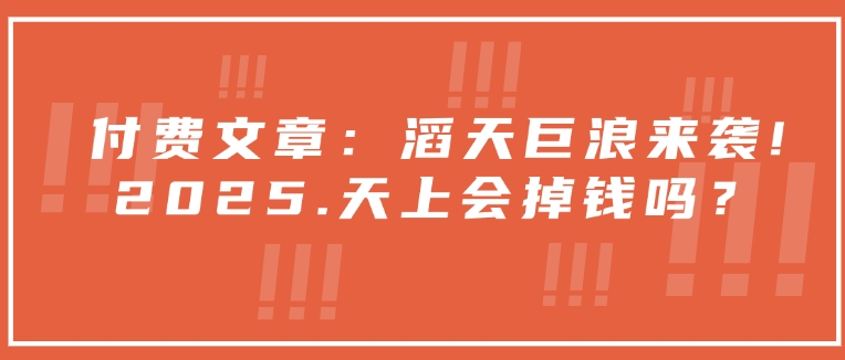 付费文章：滔天巨浪来袭！2025天上会掉钱吗？-观智斋电商课程站