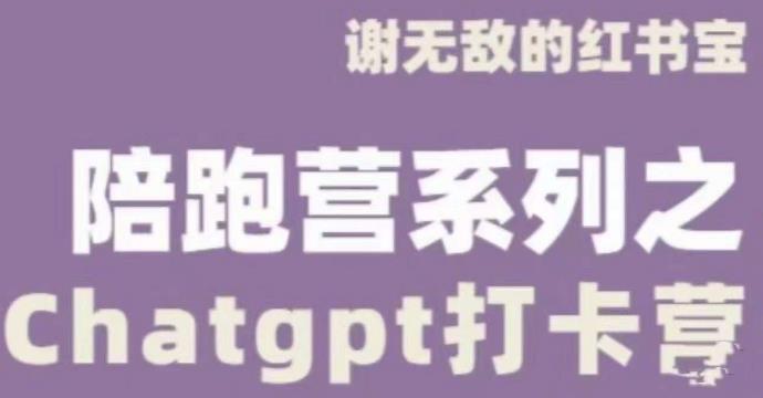 谢无敌ChatGPT打卡营，教你更好地使用ChatGPT来提高工作效率-观智斋电商课程站