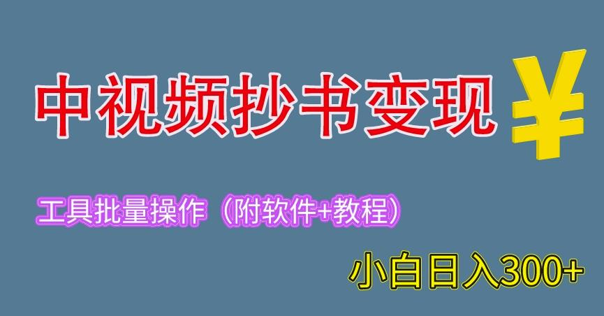 2023中视频抄书变现（附工具+教程），一天300+，特别适合新手操作的副业（揭秘）-观智斋电商课程站