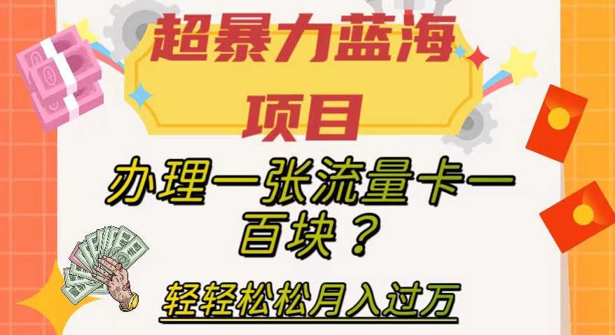 超暴力蓝海项目，办理一张流量卡一百块？轻轻松松月入过万，保姆级教程【揭秘】-观智斋电商课程站