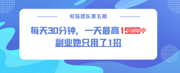 副业她只用了1招，每天30分钟，无脑二创，一天最高1.5k-观智斋电商课程站