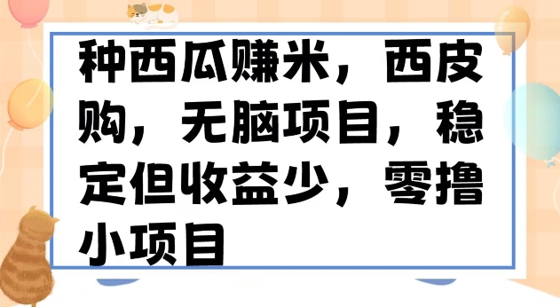 种西瓜赚米，西皮购稳定长久零撸小项目-观智斋电商课程站
