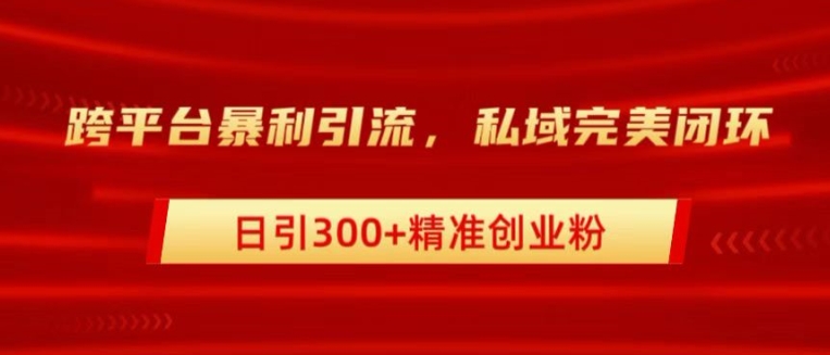 跨平台暴力引流，私域完美闭环，日引100+精准创业粉-观智斋电商课程站