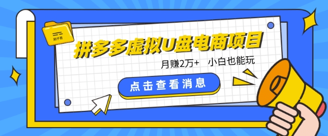 拼多多虚拟U盘电商红利项目：月赚2万+，新手小白也能玩-观智斋电商课程站