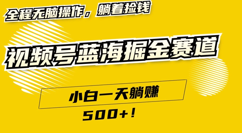 视频号蓝海小众赛道，小白一天躺赚500+，全程无脑操作，保姆式教学-观智斋电商课程站