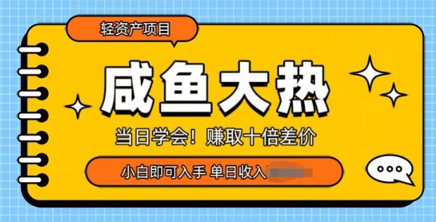 闲鱼大热轻资产类项目，当日学会，赚取十倍差价，小白即可入手-观智斋电商课程站