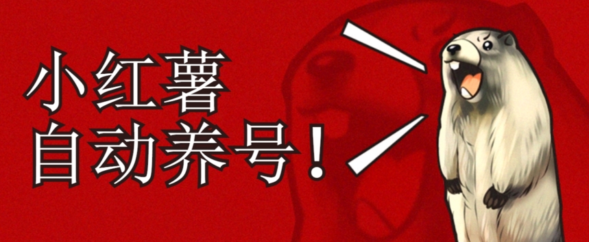 小红书养号秘籍，如何自动涨粉清晰系统标签打造高权重账号【揭秘】-观智斋电商课程站