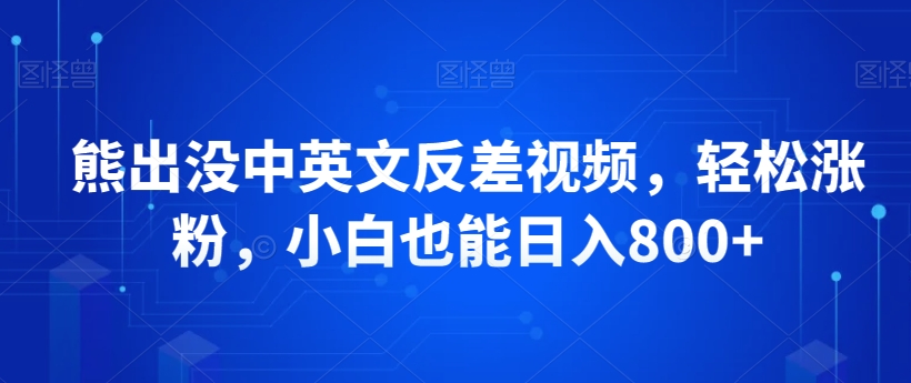 熊出没中英文反差视频，轻松涨粉，小白也能日入800+-观智斋电商课程站