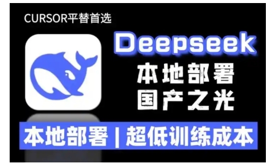 2025年deepseek R1 大型模型本地安装部署(文件+教程)本地部署，超低训练成本-观智斋电商课程站