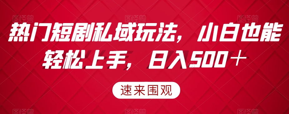 热门短剧私域玩法，小白也能轻松上手，日入500＋-观智斋电商课程站