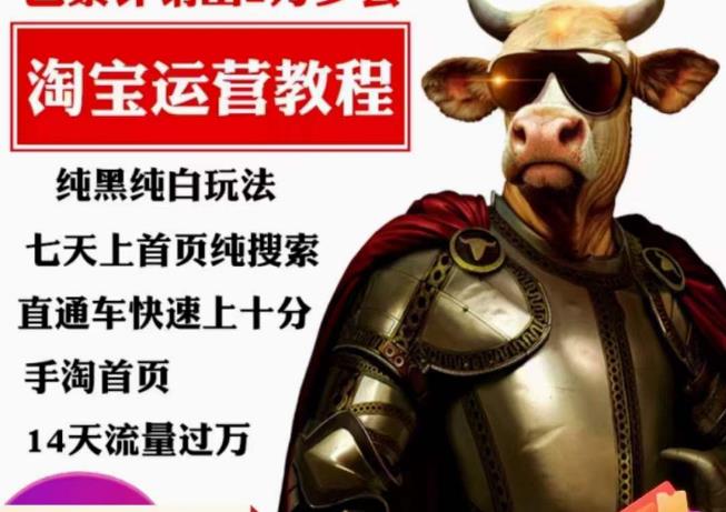 猫老师·淘系算法逆向解密，​纯黑纯白玩法，七天上首页纯搜索，手淘首页14天流量过万-观智斋电商课程站
