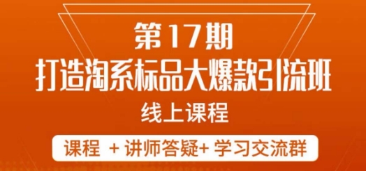 南掌柜-第17期打造淘系标品大爆款，5天线上课-观智斋电商课程站