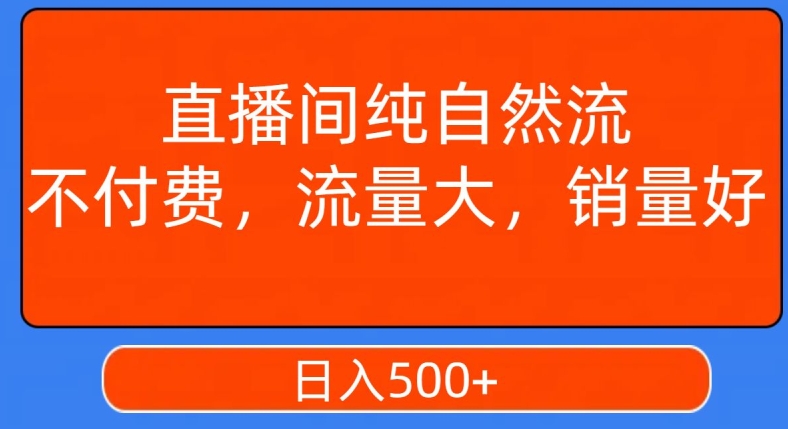 视频号直播间纯自然流，不付费，白嫖自然流，自然流量大，销售高，月入15000+【揭秘】-观智斋电商课程站