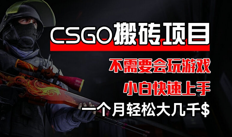 CSGO 装备搬砖项目，操作简单，不需要会玩游戏，小白也能快速上手，一个月轻松大几千【揭秘】-观智斋电商课程站