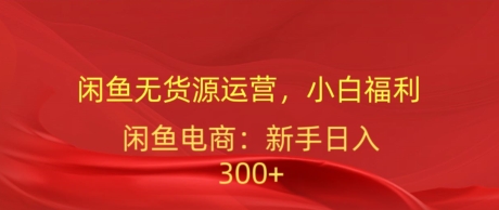 闲鱼无货源运营，小白福利，日入300加-观智斋电商课程站