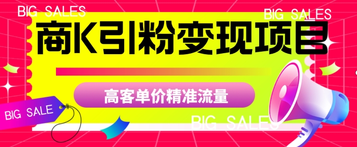 商K引粉变现项目，高客单价精准流量【揭秘】-观智斋电商课程站