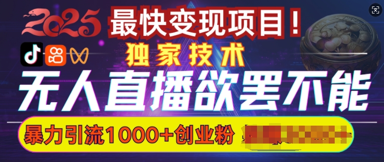 欲罢不能的无人直播引流，超暴力日引流1000+高质量精准创业粉-观智斋电商课程站