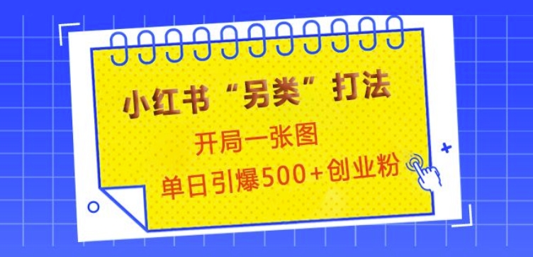 小红书“另类”打法，开局一张图，单日引爆500+精准创业粉【揭秘】-观智斋电商课程站