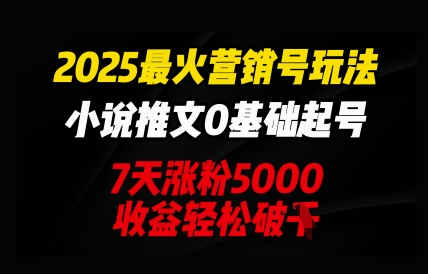 2025最火营销号玩法：小说推文0基础起号，7天涨粉5000，收益轻松破k-观智斋电商课程站