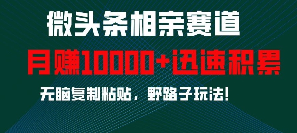微头条相亲赛道，迅速积累，无脑复制粘贴，野路子玩法，月入1w-观智斋电商课程站