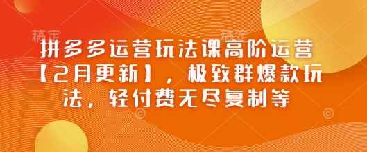 拼多多运营玩法课高阶运营【2月更新】，极致群爆款玩法，轻付费无尽复制等-观智斋电商课程站