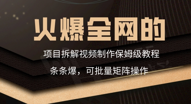 火爆全网的项目拆解类视频如何制作，条条爆，保姆级教程-观智斋电商课程站