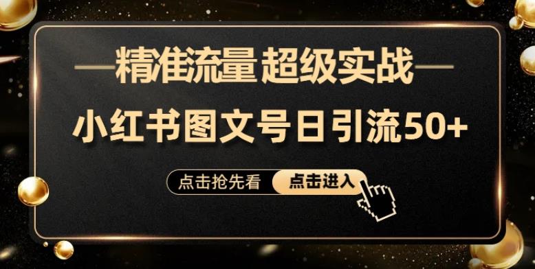 日引50+精准流量，小红书图文号，超级实战的小红书引流课，适合新手小白的项目-观智斋电商课程站