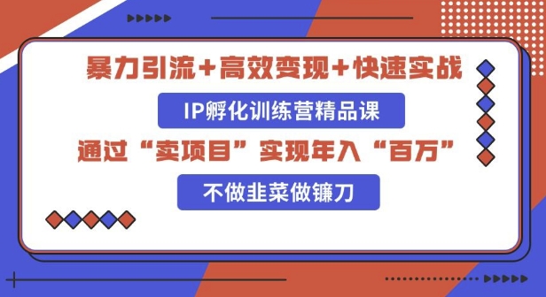 知识付费独家玩法：精准引流+高效变现，简单复制成功模式，最新IP共创导师训练营玩法-观智斋电商课程站