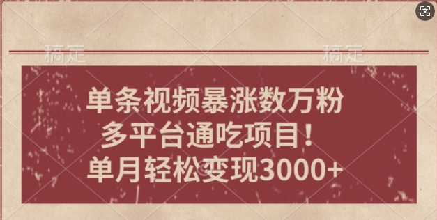 一条作品涨万粉，轻松上手，单月简单变现3000+-观智斋电商课程站