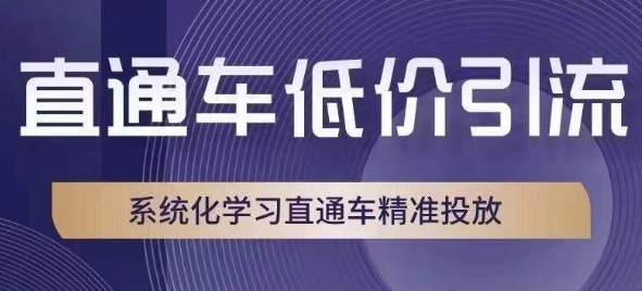 直通车低价引流课，系统化学习直通车精准投放-观智斋电商课程站