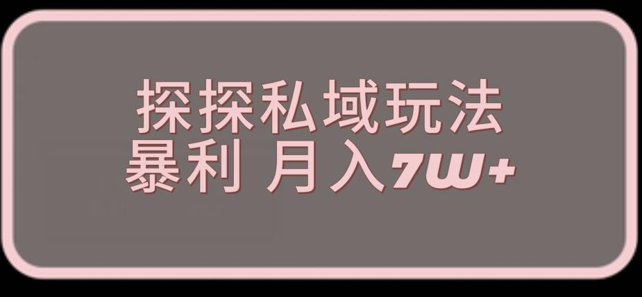 探探最新的私域玩法非常厉害操作简单，聊聊天就能有收入-观智斋电商课程站