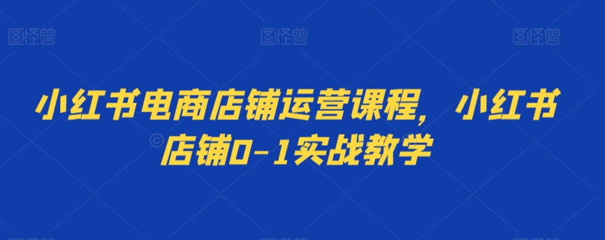 小红书电商店铺运营课程，小红书店铺0-1实战教学-观智斋电商课程站