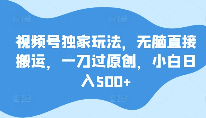 视频号独家玩法，无脑直接搬运，一刀过原创，小白日入500+-观智斋电商课程站