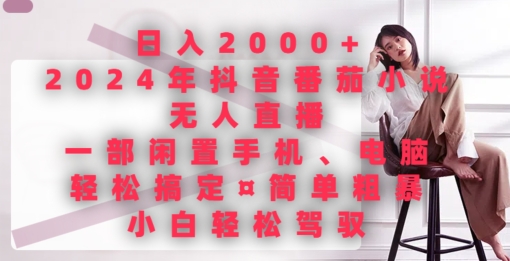 日入2000+，2024年抖音番茄小说无人直播，简单粗暴，小白轻松驾驭-观智斋电商课程站