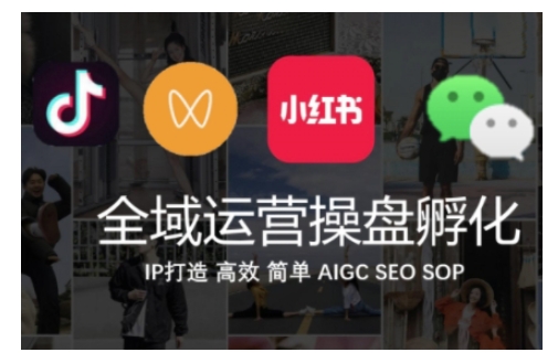 全域运营操盘(抖音+私域+小红书)，IP打造高效简单-观智斋电商课程站