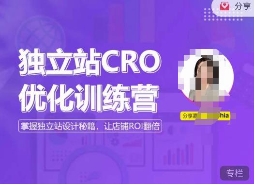 独立站CRO优化训练营，掌握独立站设计秘籍，打造高转化的独立站，让店铺ROI翻倍-观智斋电商课程站