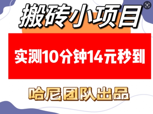 搬砖小项目，实测10分钟14元秒到，每天稳定几张(赠送必看稳定)-观智斋电商课程站