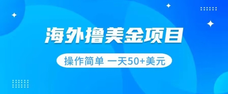 撸美金项目无门槛操作简单小白一天50+美刀-观智斋电商课程站