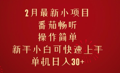 2月最新小项目，番茄畅听，操作简单，新手小白可快速上手，单机日入30+-观智斋电商课程站