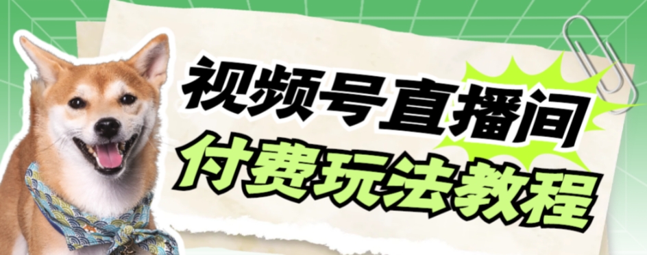 视频号美女付费无人直播，轻松日入500+【详细玩法教程】-观智斋电商课程站