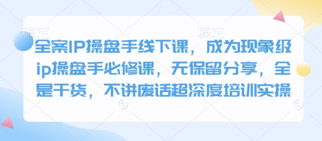 全案IP操盘手线下课，成为现象级ip操盘手必修课，无保留分享，全是干货，不讲废话超深度培训实操-观智斋电商课程站